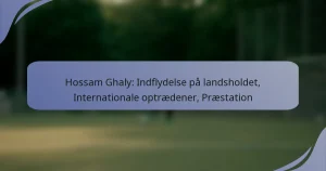 Hossam Ghaly: Indflydelse på landsholdet, Internationale optrædener, Præstation