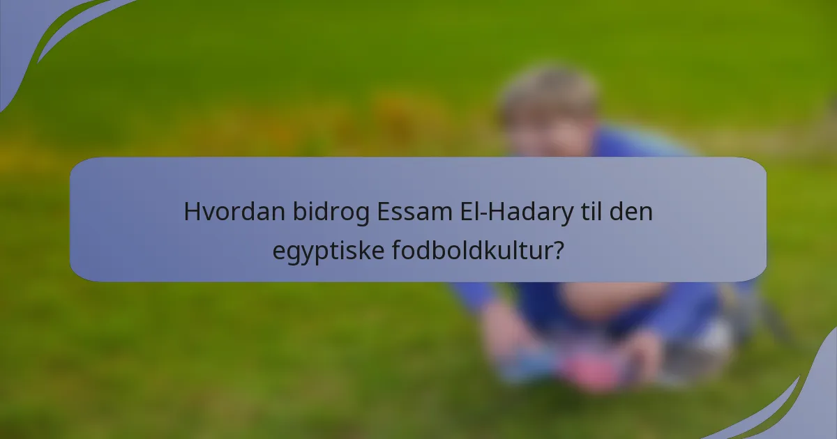 Hvordan bidrog Essam El-Hadary til den egyptiske fodboldkultur?